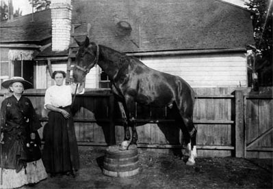 Mattie Silks
                  and her horse