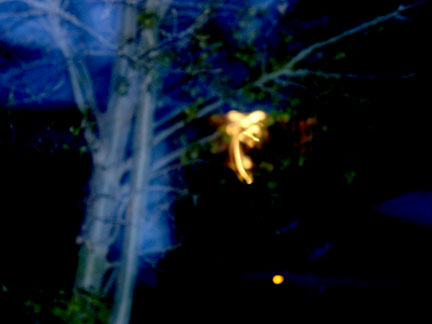 Is it a fairy?.... nope
                                        just a blurred light